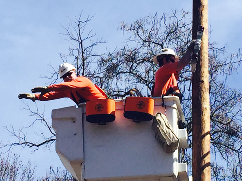 Electric Guys in Orange Resized for Web